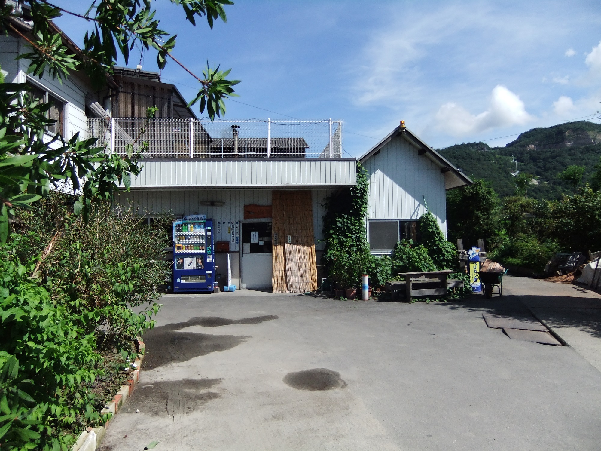 オススメ讃岐うどん店 準ｓ級 山下 坂出山下 はじめてのさぬきうどん